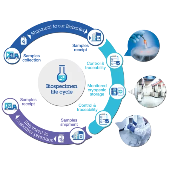 bioKryo The life cycle of your samples
